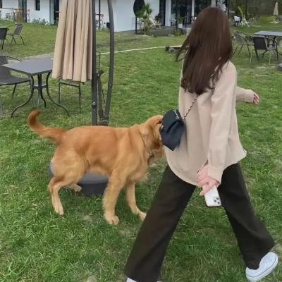 无间炼狱