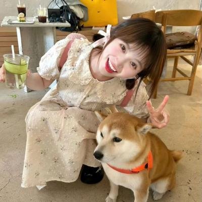 士兵的女孩